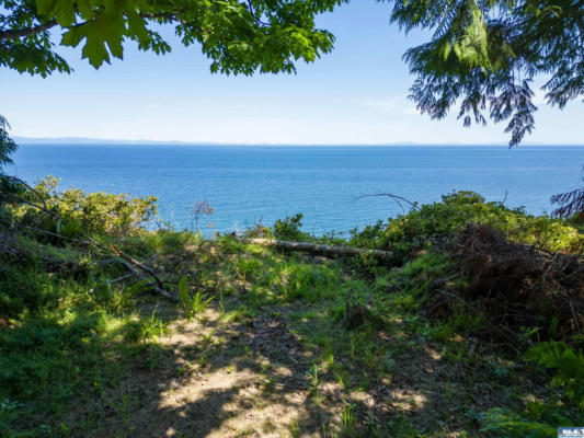 9999 N BAGLEY CREEK DR, PORT ANGELES, WA 98362 - Image 1