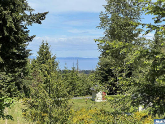 55 CHASEWOOD DR, PORT ANGELES, WA 98363 - Image 1